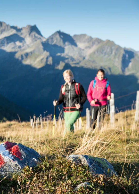 Zillertal Arena Sommer Portrait