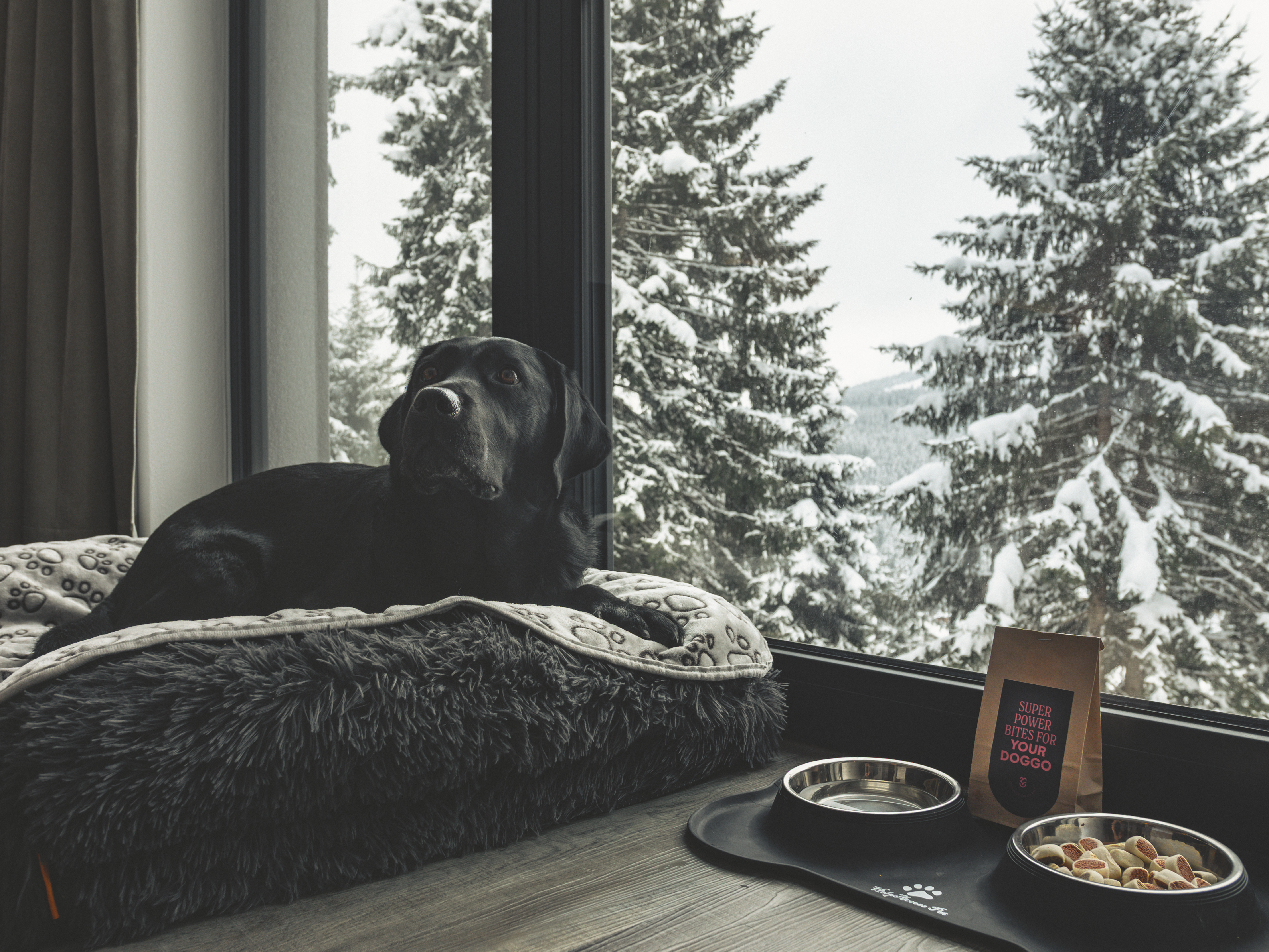 Leni_Winter